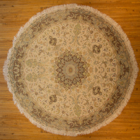 8'x8'